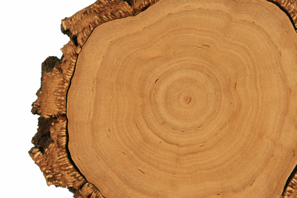 Naturholz für die Verarbeitung zu Möbeln