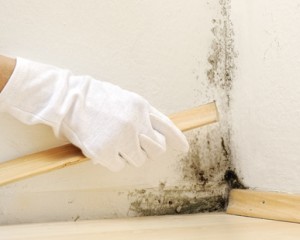 Die fünf größten Schäden, die den Wert eines Hauses mindern